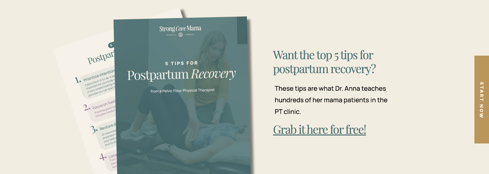 FREE Download for postpartum recovery, including minimizing pelvic floor pain after birth. 