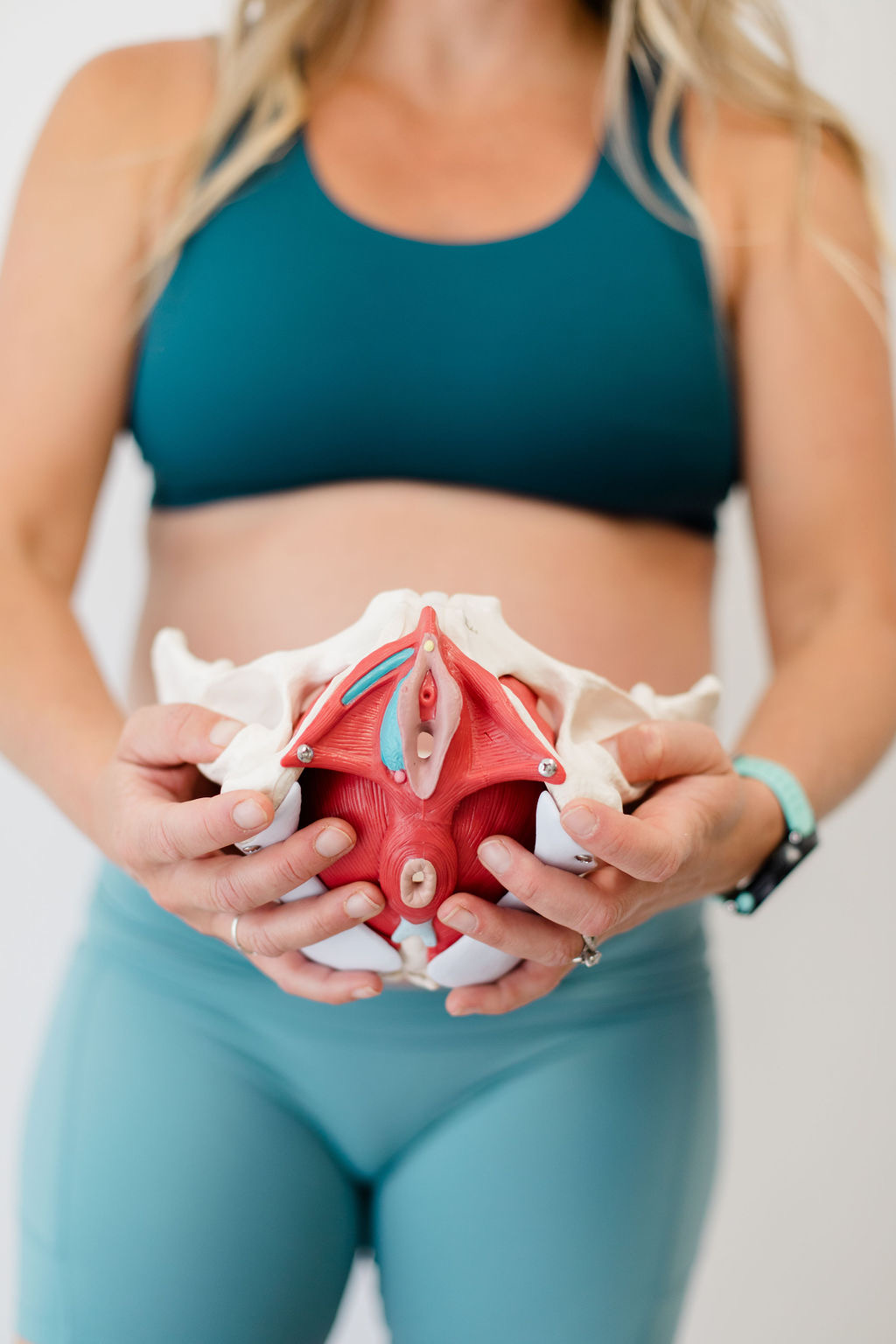 pelvic floor therapist holding pelvic floor.