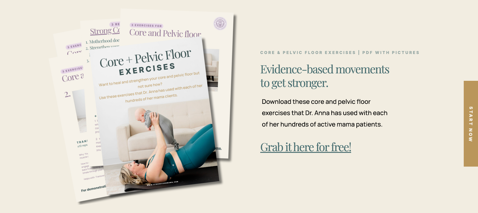 Dr. Anna Towne's evidence-based core and pelvic floor exercises.