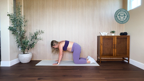 Modified belly lift.