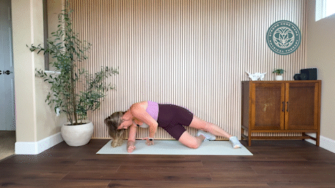 Side plank rotation demo.